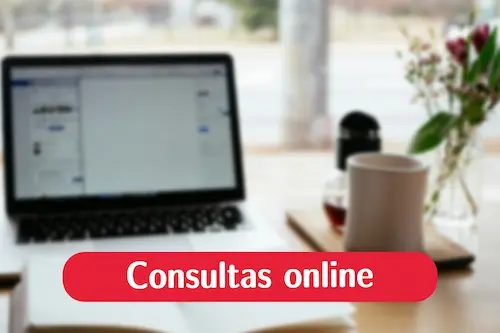 Consulta online